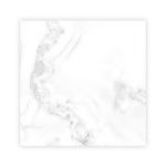 Picture of Alfa Standard Floor Ceramic 50×50