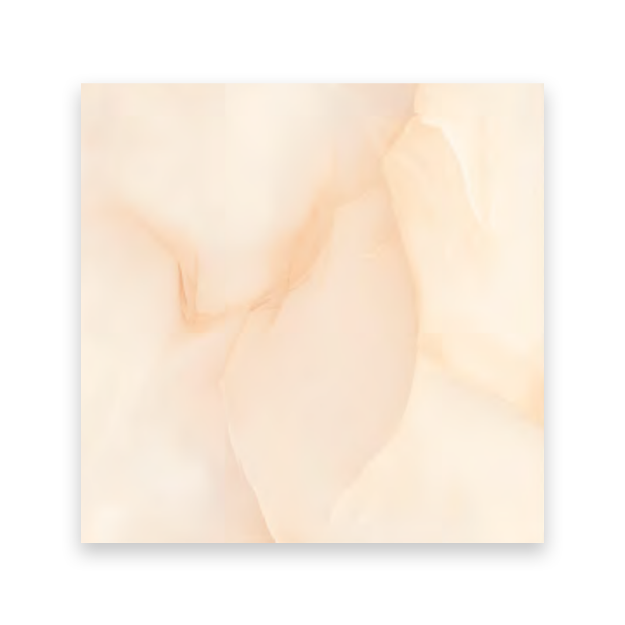 Picture of Alfa Nesr 605 Floor Ceramic 60×60